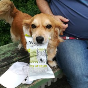 Ein Hund hat bei der Samplingpromotion in Berlin sich eine Produktprobe geschnappt